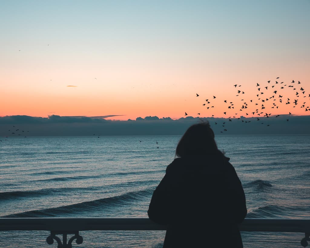 A lone figure on Brighton beach watching the starlings at dusk